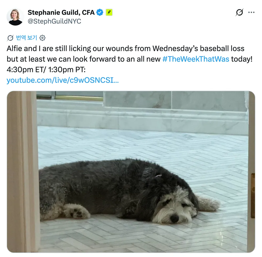 Screenshot of Stephanie Guild's post about Alfie lying on the floor after a baseball loss